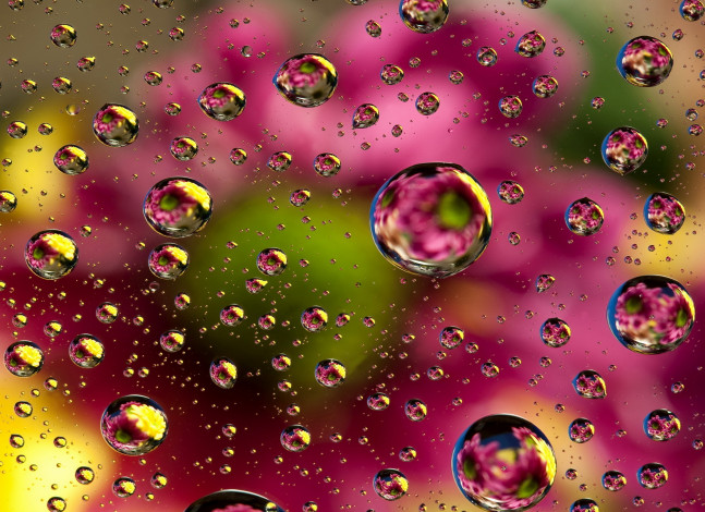 Обои картинки фото разное, капли,  брызги,  всплески, floral, colorful, пузыри, bubbles, background, colors, abstract, абстракция, фон