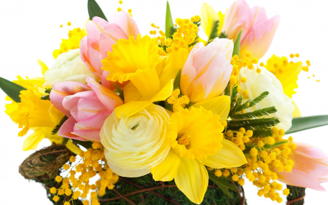 Обои картинки фото цветы, букеты,  композиции, petals, bouquet, mimosa, yellow, narcissus, pink, bright, flowers, tulips, розовые, тюльпаны, листья, букет, мимоза, жёлтые, нарциссы, красота, лепестки