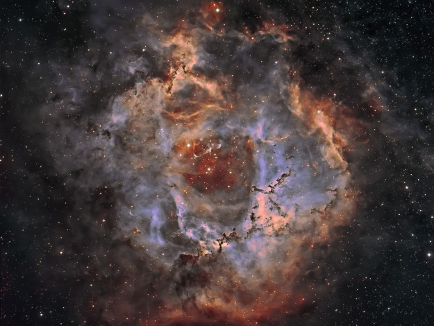 Обои картинки фото ngc2237 rosette nebula, космос, галактики, туманности, туманность