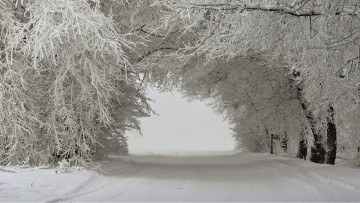 Картинка природа дороги дорога деревья снег