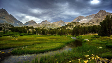 Картинка природа пейзажи лес трава ручей горы