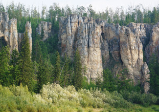 Картинка природа пейзажи lena вид лес камни горы скалы пейзаж