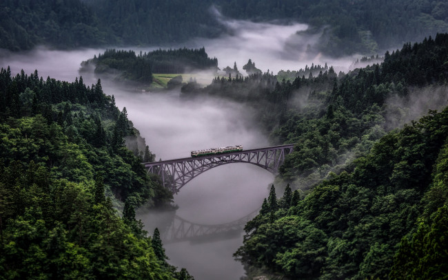 Обои картинки фото природа, пейзажи, tadami, line, in, japan, лес, поезд, река, мост, горы