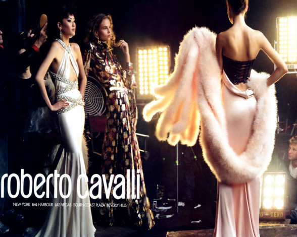 Обои картинки фото roberto, cavalli, бренды