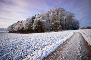 Картинка природа зима снег деревья дорога лес
