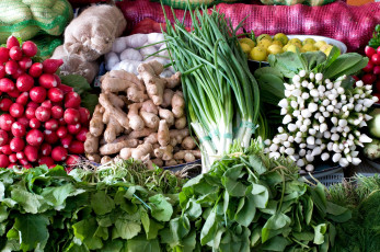 обоя еда, овощи, редис, зелень, лук, имбирь