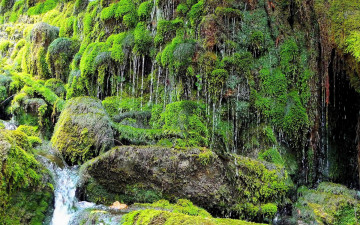 Картинка природа водопады камни вода мох