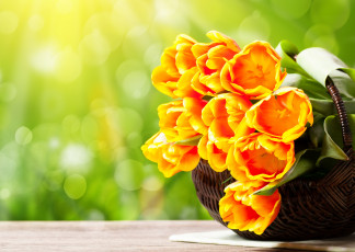 Картинка цветы тюльпаны корзинка букет