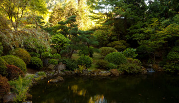Картинка Японский+сад+портленд+сша природа огонь сад пруд кусты деревья