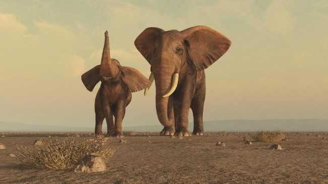Обои картинки фото 3д графика, animals , животные, слоны