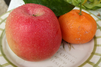 Картинка еда фрукты +ягоды плоды