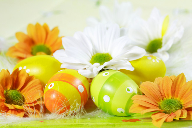 Обои картинки фото праздничные, пасха, белые, оранжевые, яйца, цветы
