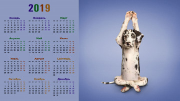 обоя календари, животные, упражнение, собака, взгляд