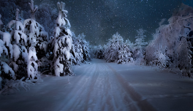 Обои картинки фото природа, дороги, лес, сугробы, снег, зима, дорога, деревья, снежинки, ночь, небо