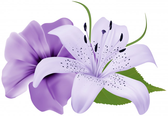 Обои картинки фото векторная графика, цветы , flowers, цветы, фон, лепестки