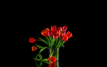 Картинка цветы букеты +композиции букет тюльпаны