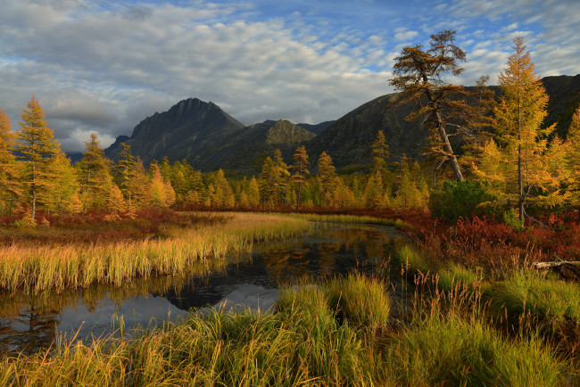 Обои картинки фото природа, реки, озера, берег, река, горы, деревья, облака, трава, небо, лес, осень