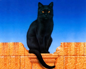 Картинка рисованное животные +коты кот забор