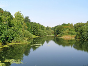 Картинка пруд природа реки озера