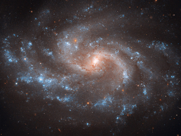 Обои картинки фото ngc, 5584, космос, галактики, туманности