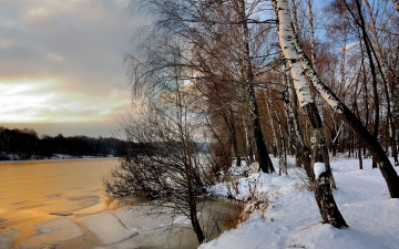 Картинка природа зима озеро берёзы