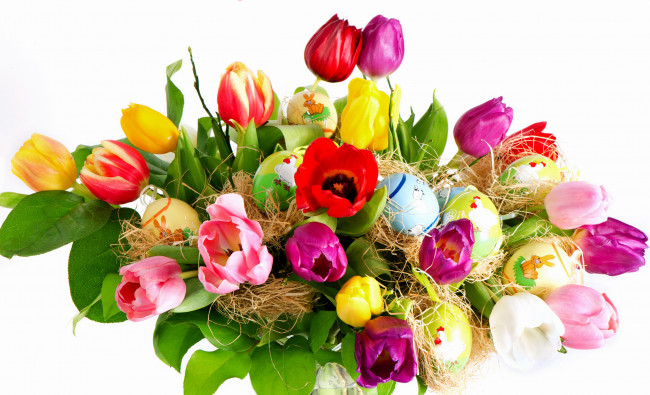 Обои картинки фото цветы, тюльпаны, букет, яйца