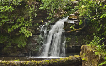 Картинка водопад природа водопады скалы лес камни