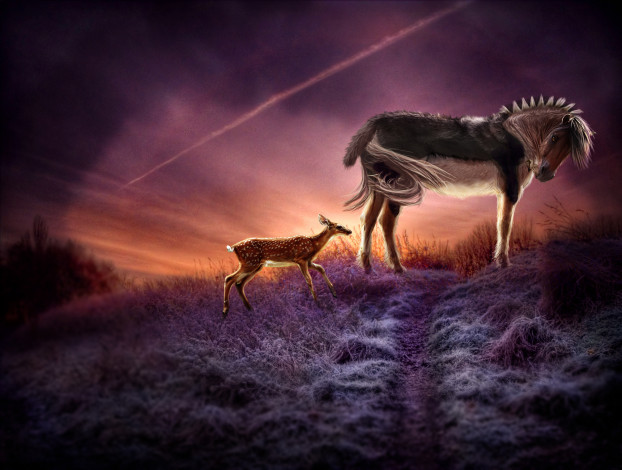 Обои картинки фото 3d, 3д, графика, animals, животные, олень, конь, иней, закат, art