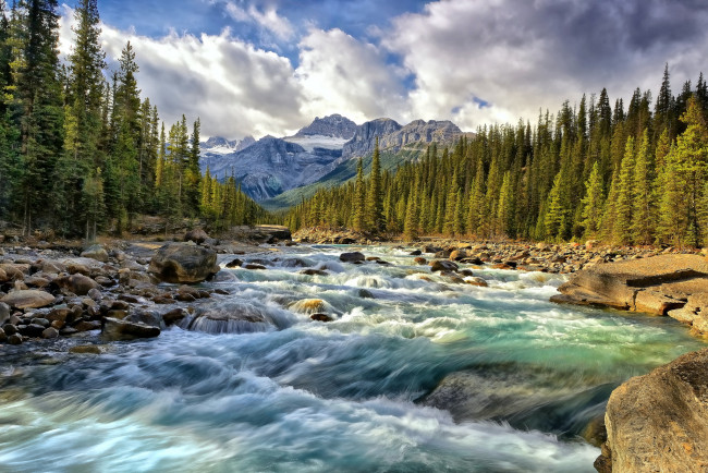 Обои картинки фото banff, national, park, alberta, canada, природа, реки, озера, поток, камни, лес, mistaya, river, банф, альберта, канада, река, горы