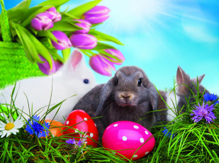 Картинка животные кролики +зайцы пасха яйца пасхальные easter happy