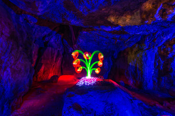 Картинка разное компьютерный+дизайн цветок пещера