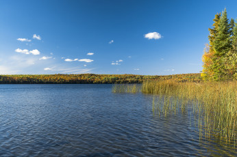 Картинка природа реки озера небо река пруд деревья трава