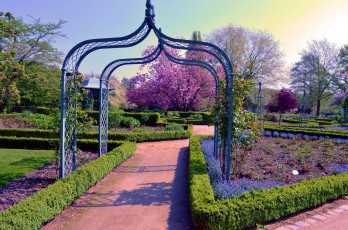 Картинка природа парк арки клумбы весна