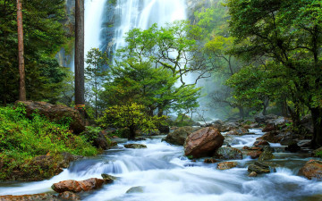 Картинка природа водопады поток водопад лес