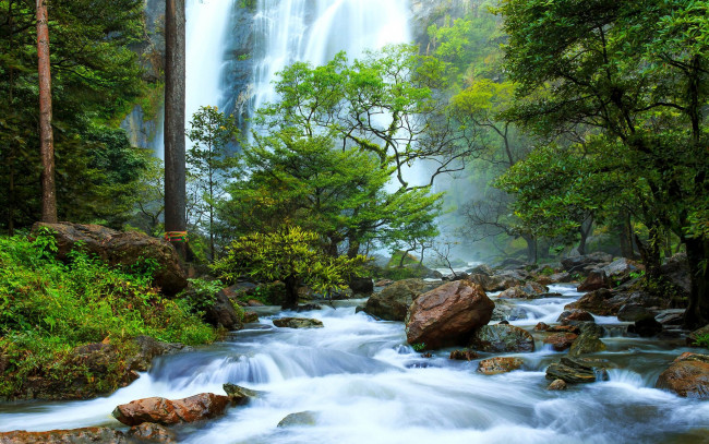 Обои картинки фото природа, водопады, поток, водопад, лес