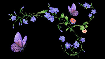 Картинка разное компьютерный+дизайн бабочки фон цветы