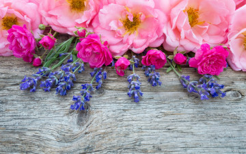 Картинка цветы букеты +композиции бутоны розовые wood pink лаванда bud flowers