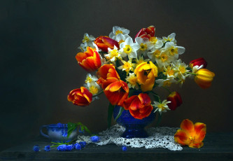 Картинка цветы букеты +композиции мускари нарциссы тюльпаны букет