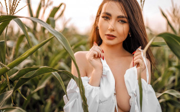 Картинка девушки -+брюнетки +шатенки шатенка блузка декольте поле кукуруза