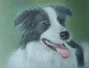 Картинка chrissy marie рисованные собака