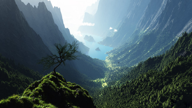 Обои картинки фото природа, горы, деревья, река, ущелье