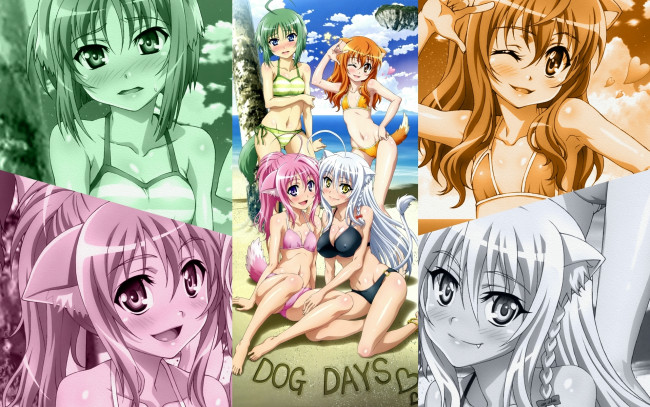 Обои картинки фото аниме, dog, days