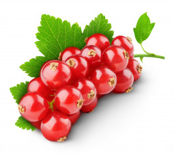 Картинка еда смородина витамины ягоды