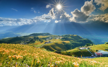 Картинка природа пейзажи трава холмы цветы облака солнце панорама