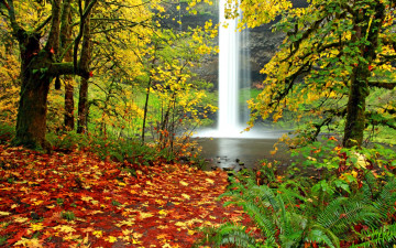 обоя природа, водопады, водопад, река, листва, осень, лес