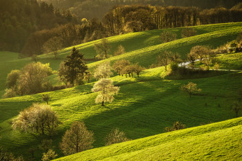 Картинка природа пейзажи дорога зелень лес трава солнце деревья холмы весна германия цветение