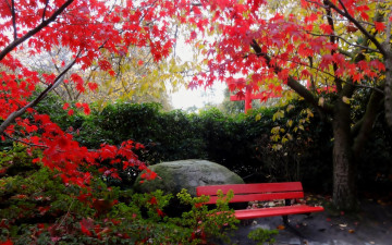 Картинка природа парк осень камень скамейка деревья