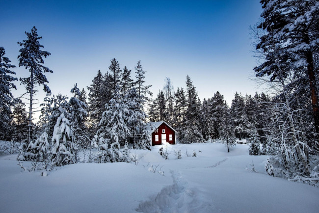 Обои картинки фото природа, зима, снег, сугробы, домик, лес