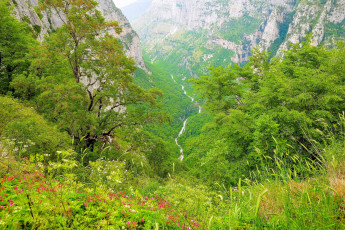 Картинка природа горы зелень