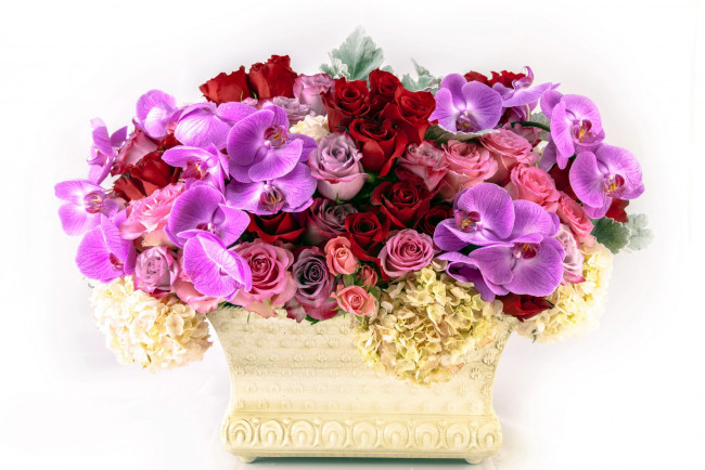 Обои картинки фото цветы, букеты,  композиции, орхидеи, розы